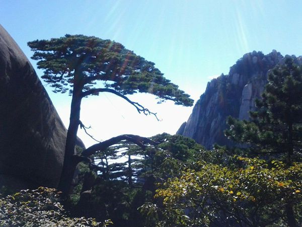 黄山迎客松和怪石